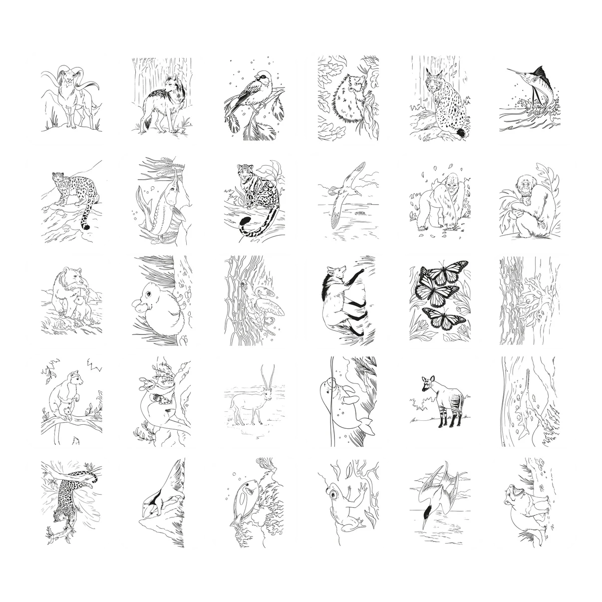 Caderno Luminoso Animais