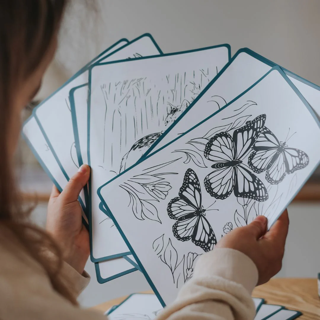 Caderno Luminoso Animais