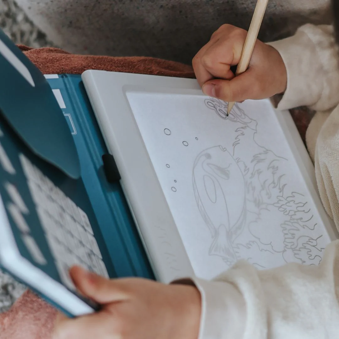 Caderno Luminoso Animais